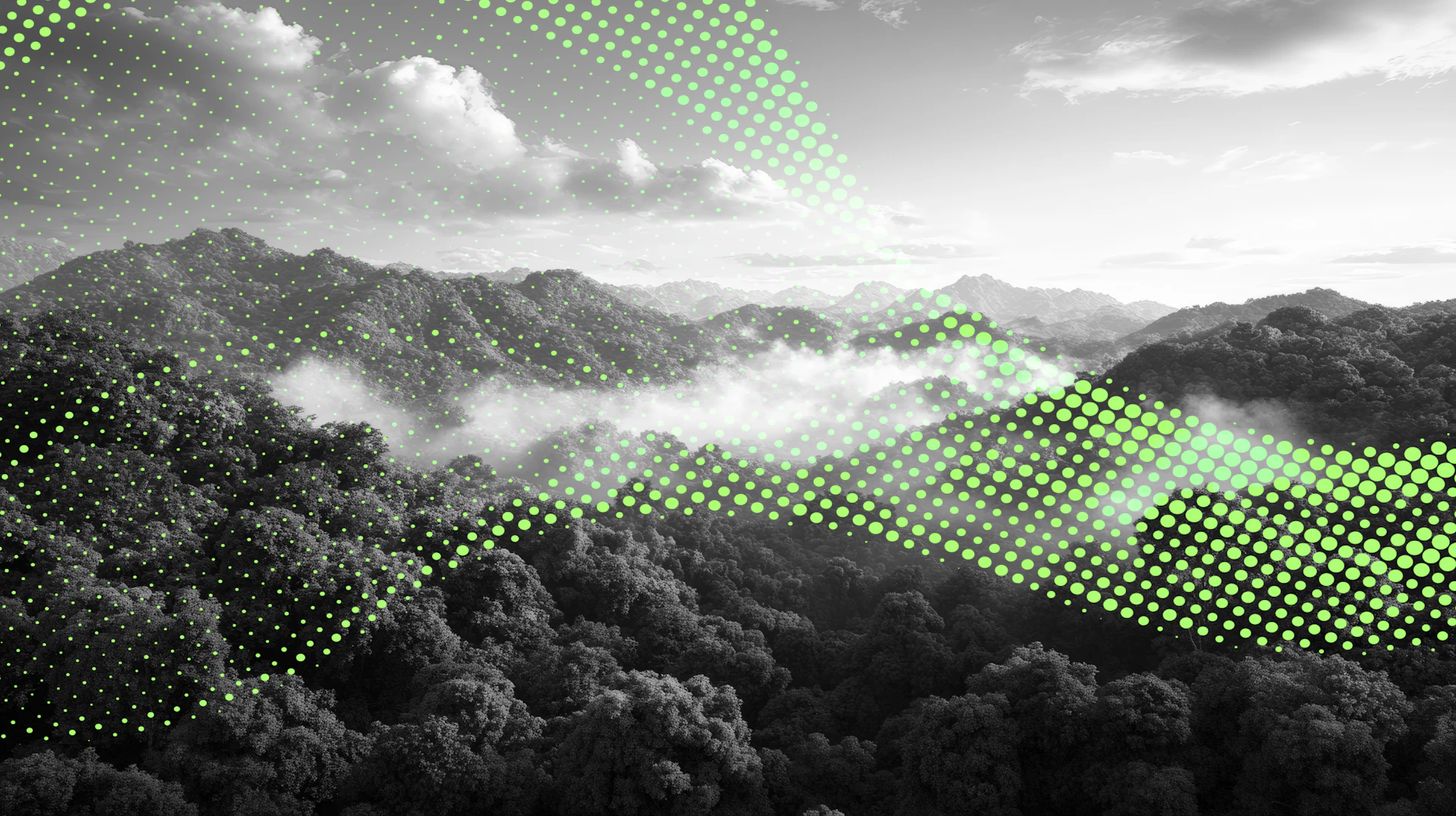 Insights Tech Image