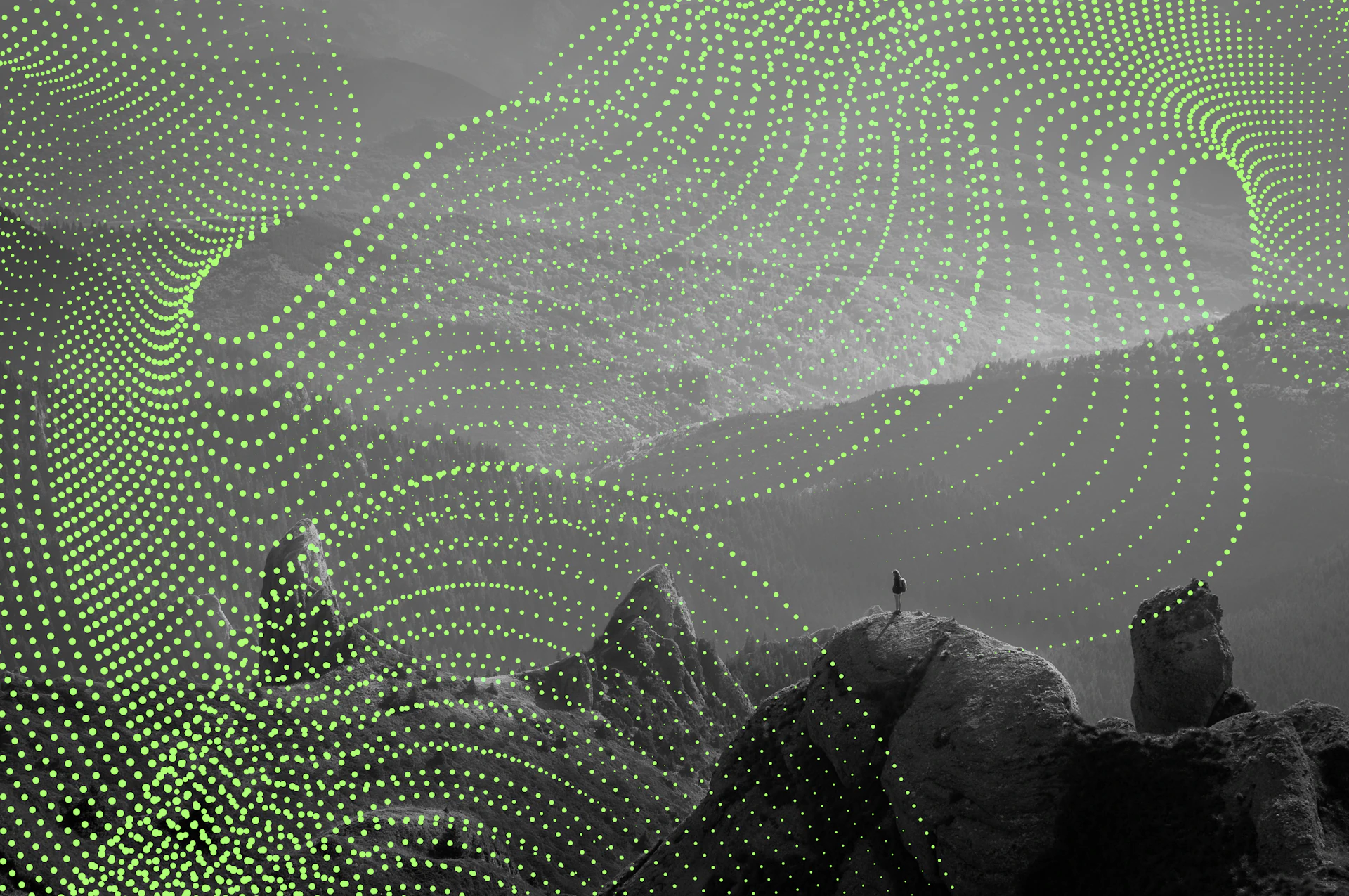 Insights Tech Image