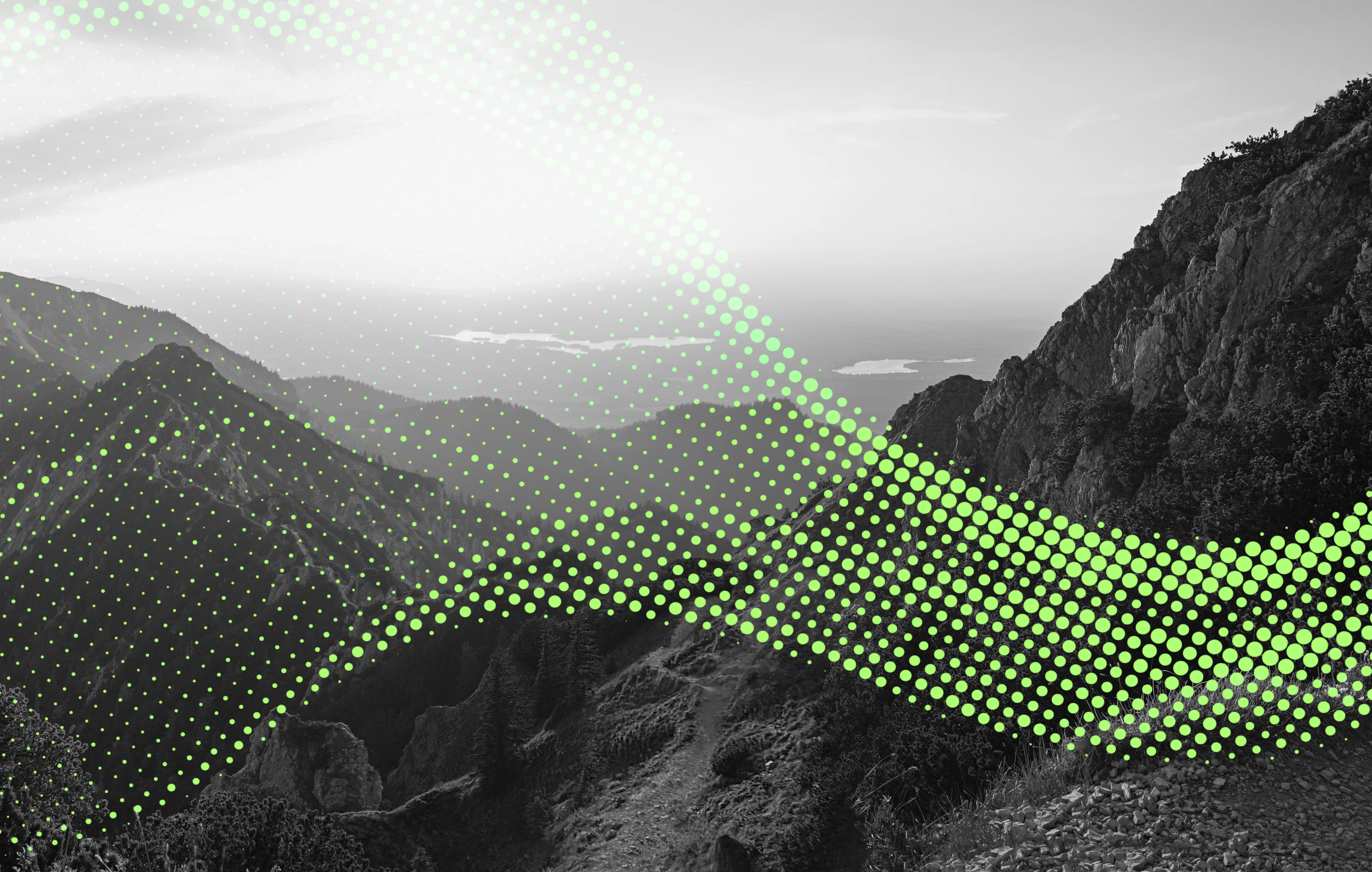 Insights Tech Image