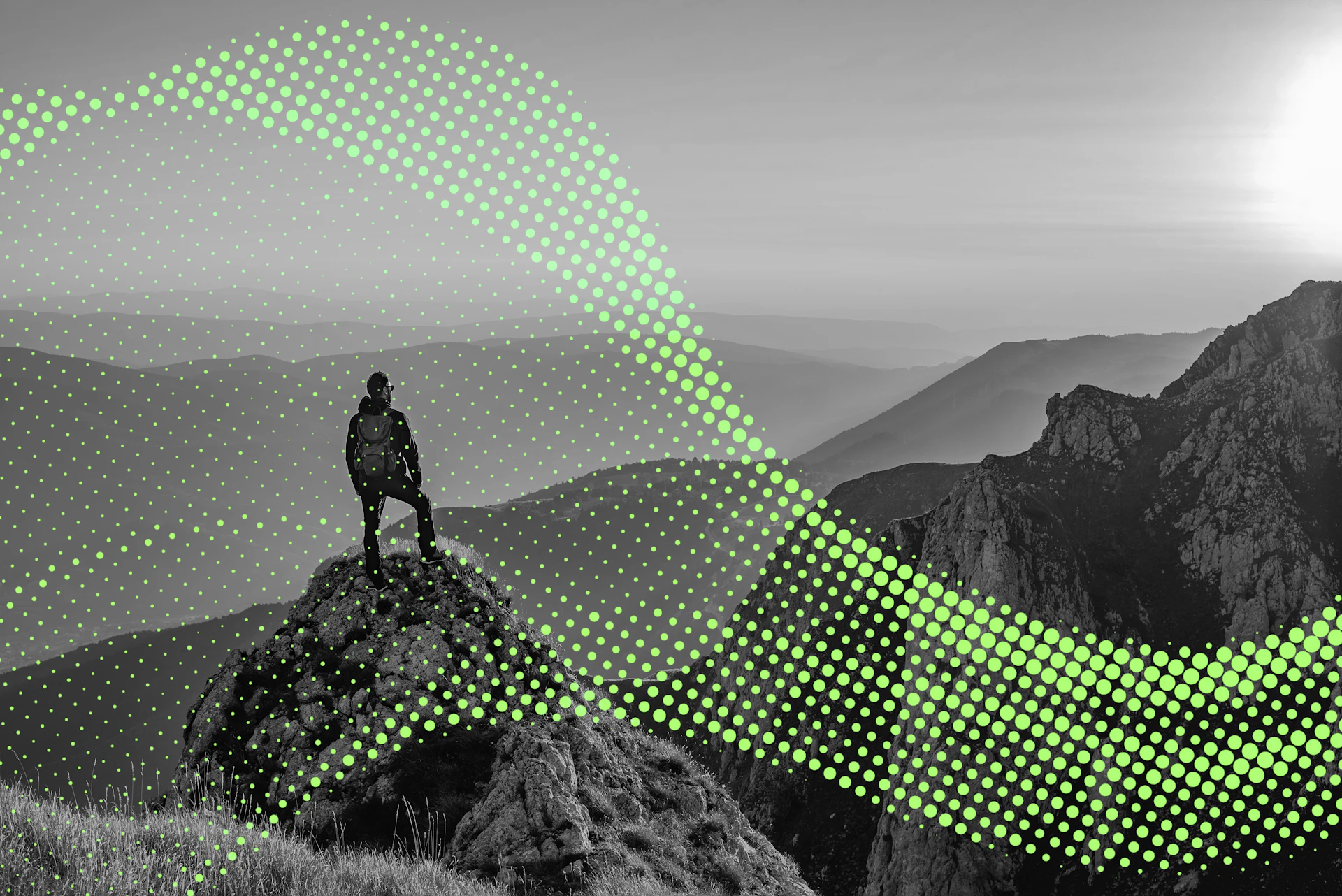 Insights Tech Image