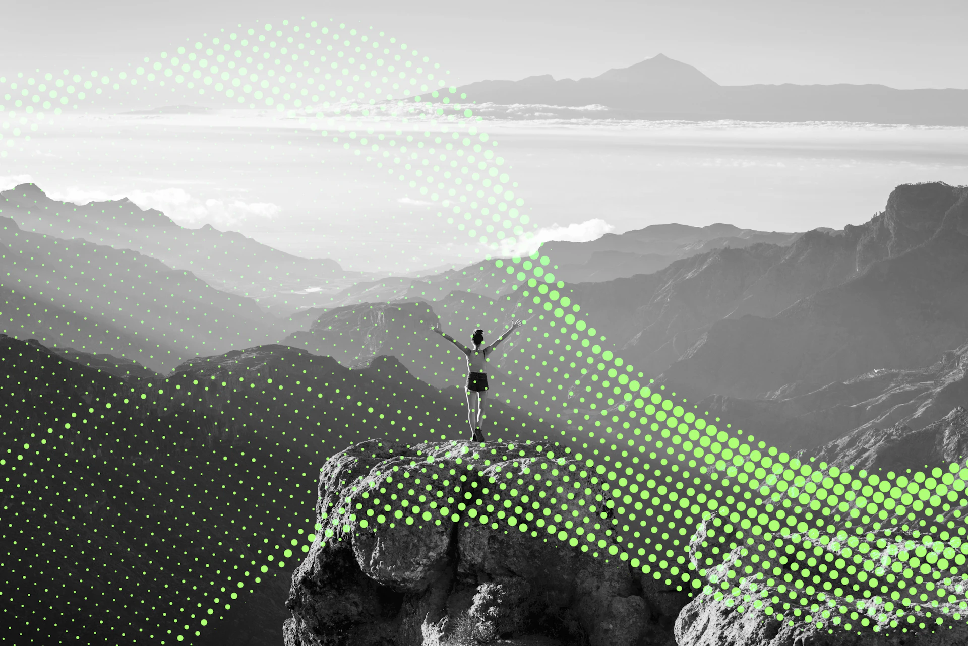 Insights Tech Image