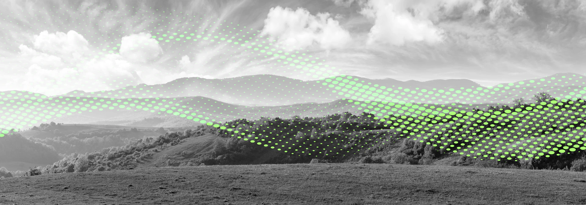 Insights Tech Image