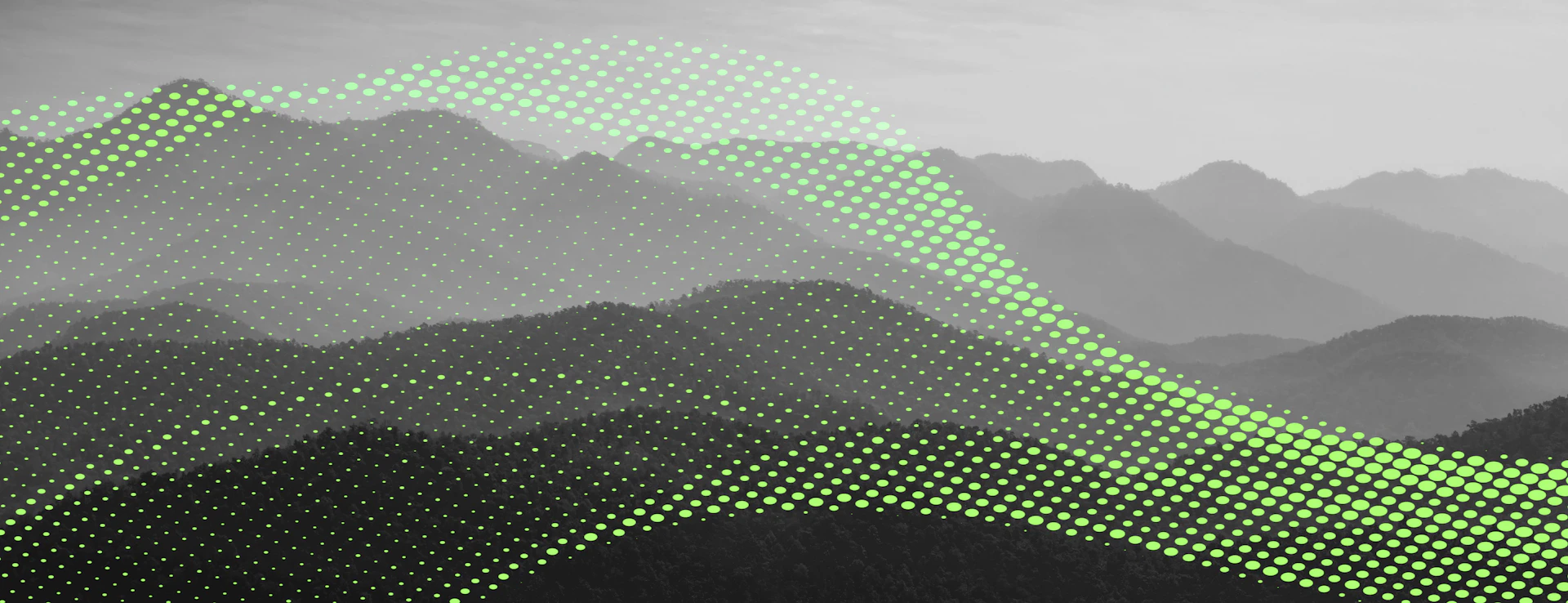Insights Tech Image