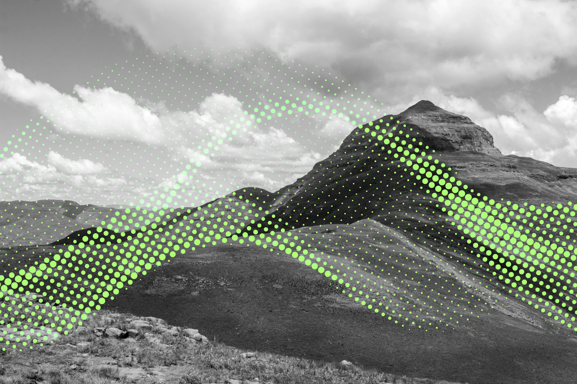 Insights Tech Image