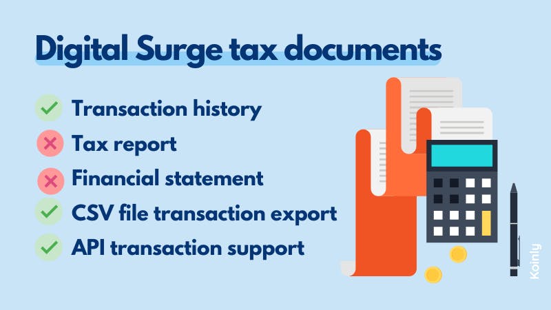 Digital Surge tax documents