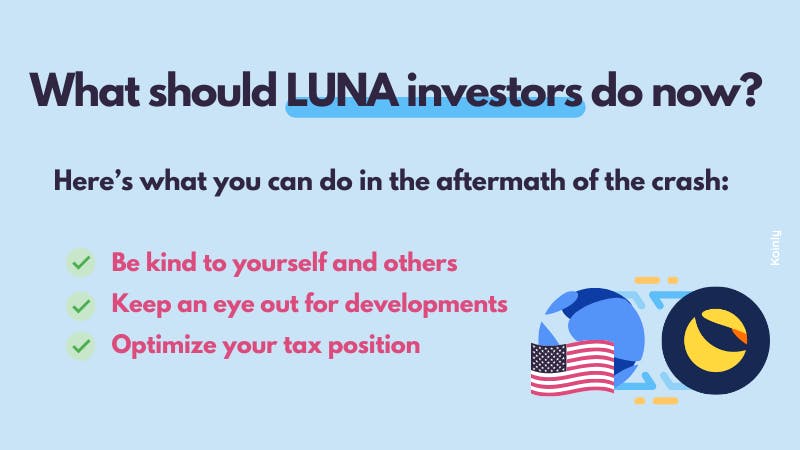 What should LUNA investors do now?
