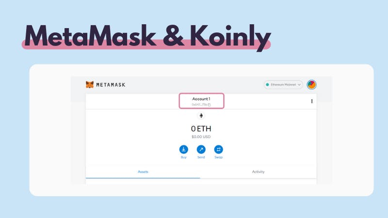 MetaMask instructions Koinly
