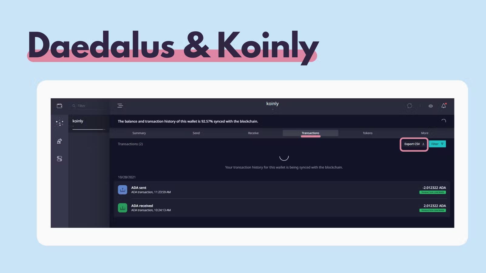 Daedalus CSV export