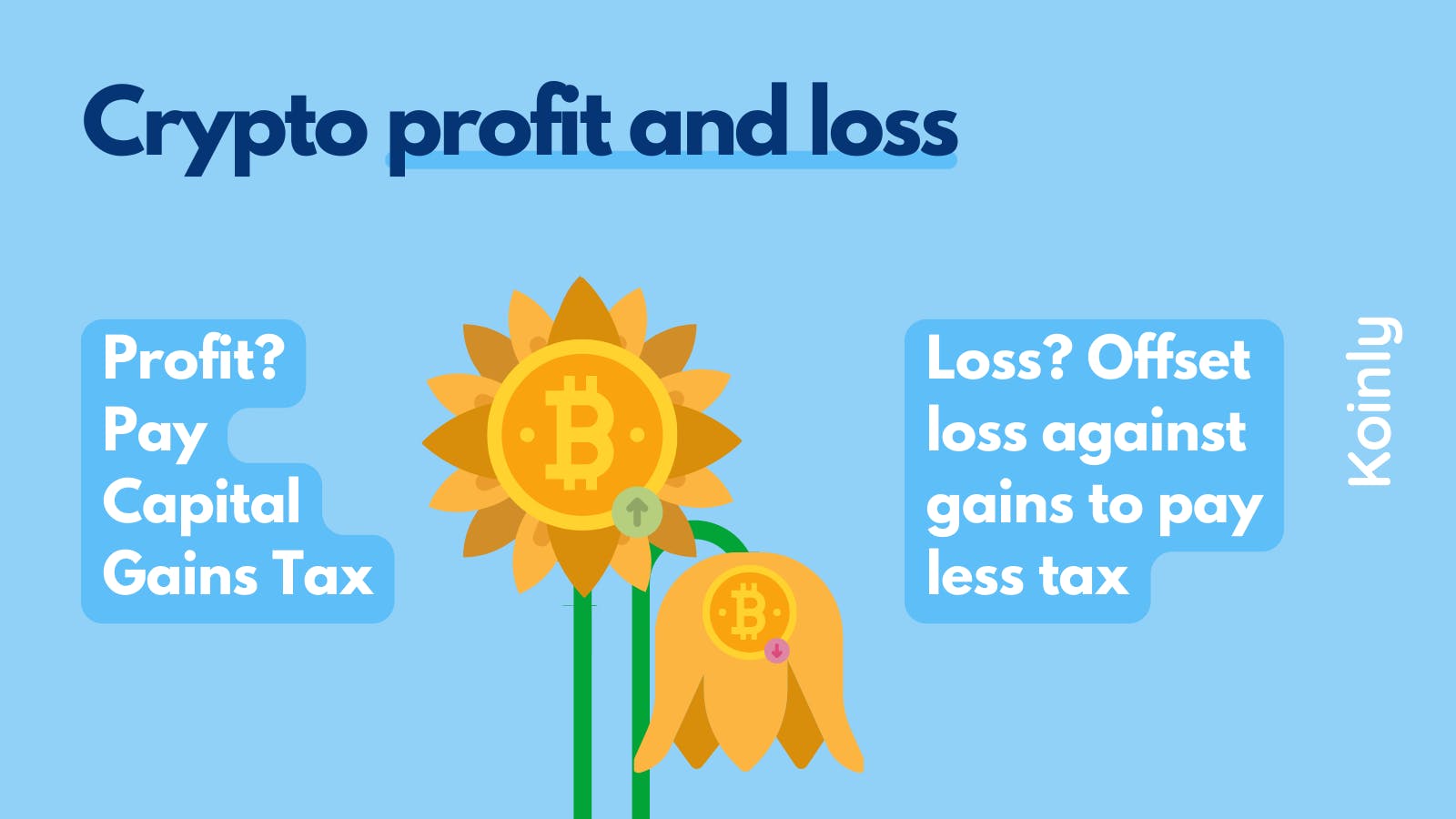 crypto profit and loss