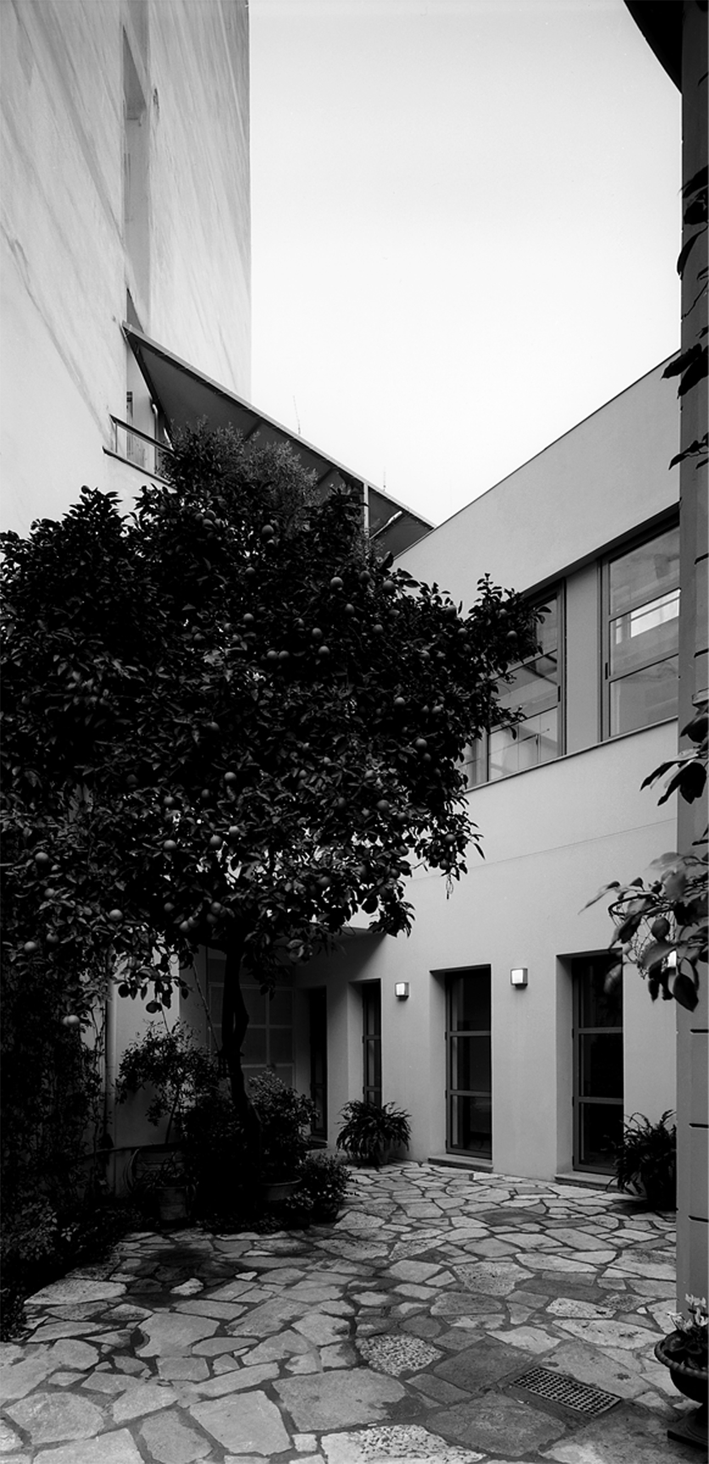 Project Secondary Image