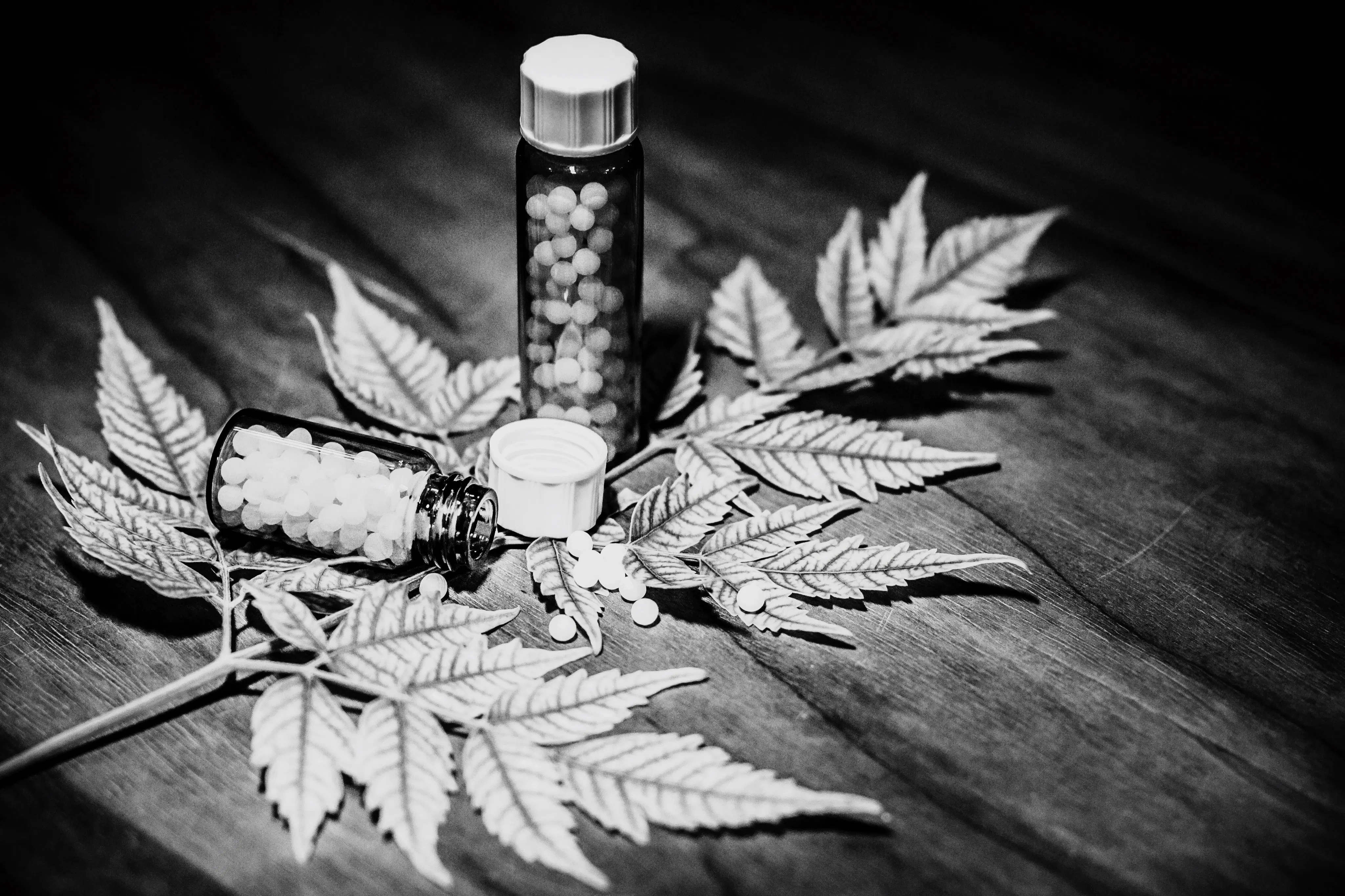 Konopí, kratom, HHC a CBD v roce 2026: aktuální právní úprava v ČR