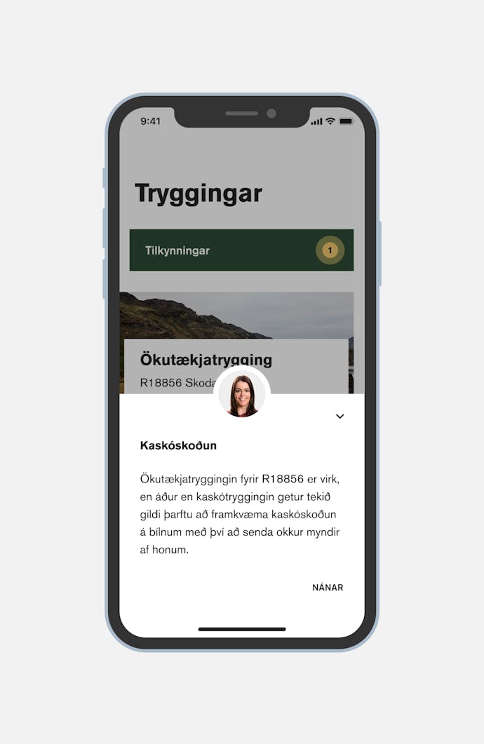 Screenshot of TM app