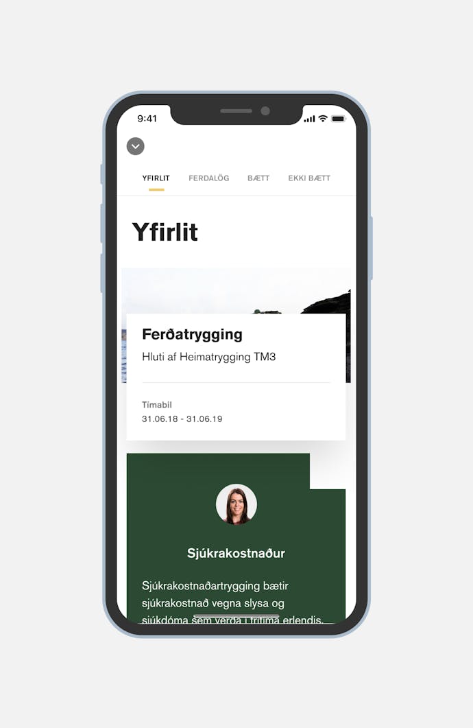 Screenshot of TM app