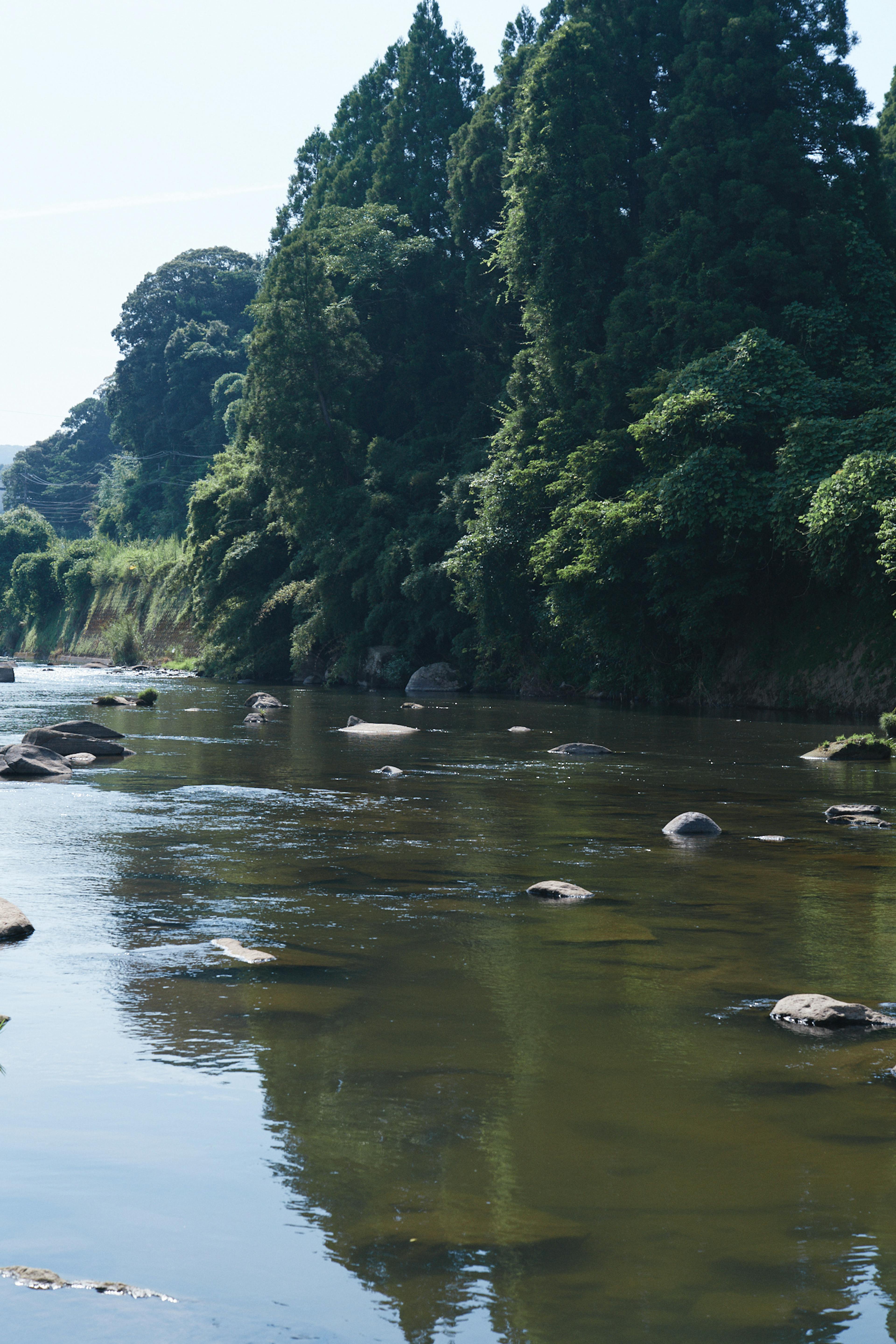 Taking Kagoshima’s Natural Blessings into the Future