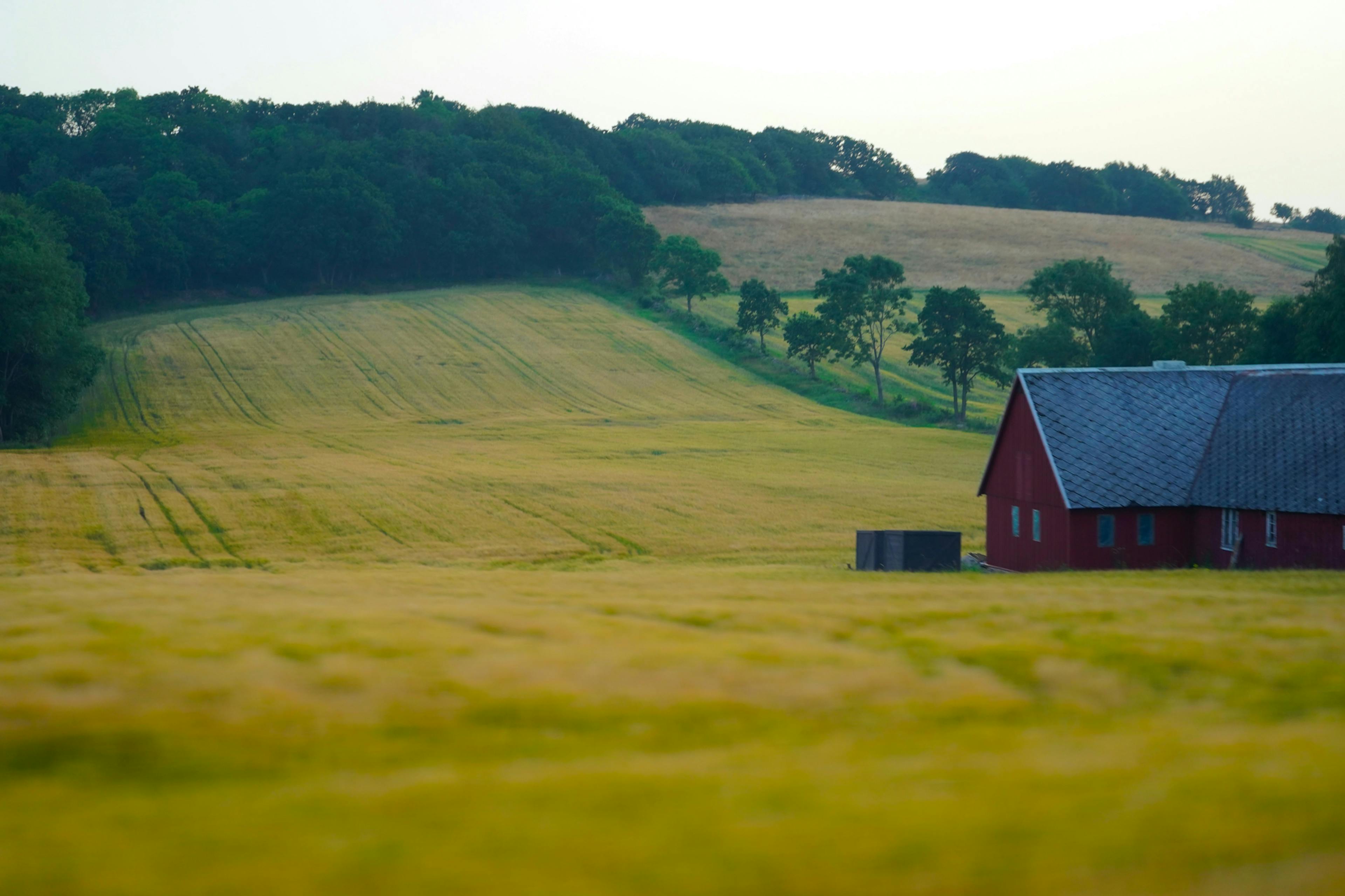 lantbruk-en-äng-och-ett-rott-hus-2.png
