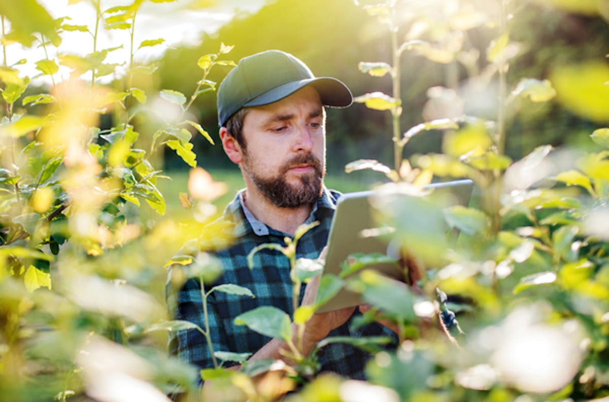 man-bland-växter-kollar-device-solen-lyser