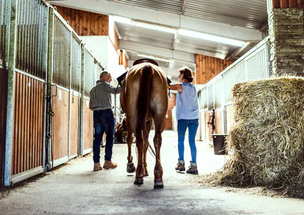ett-stall-tva-personer-leder-en-hast
