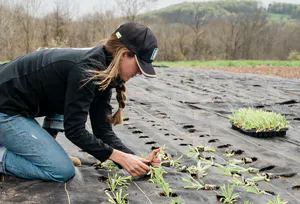 tjej planterar små plantor hon står på knä