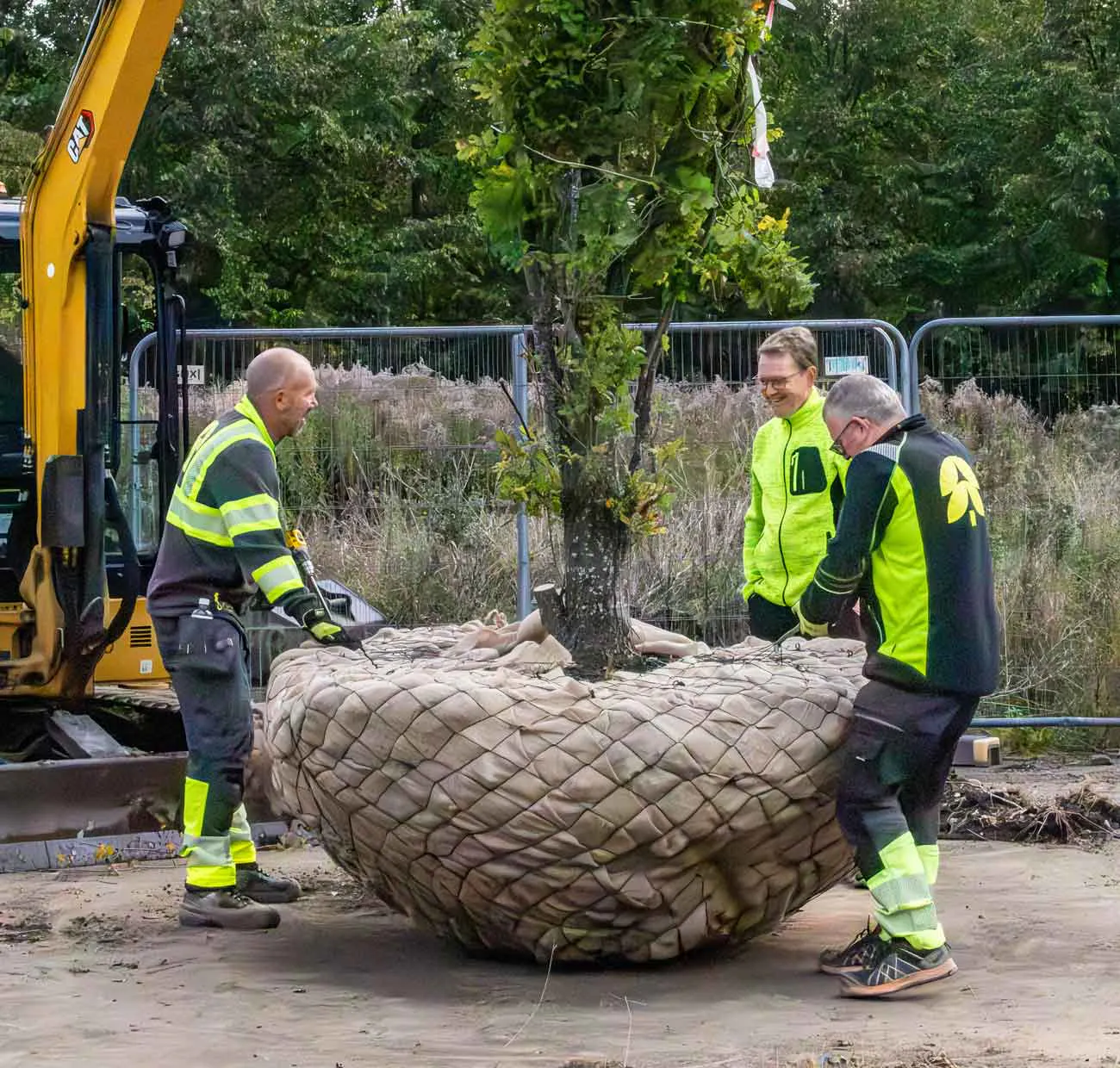 tre-personer-flyttar-träd-med-hjälp-av-maskin-trädvård-naturvård