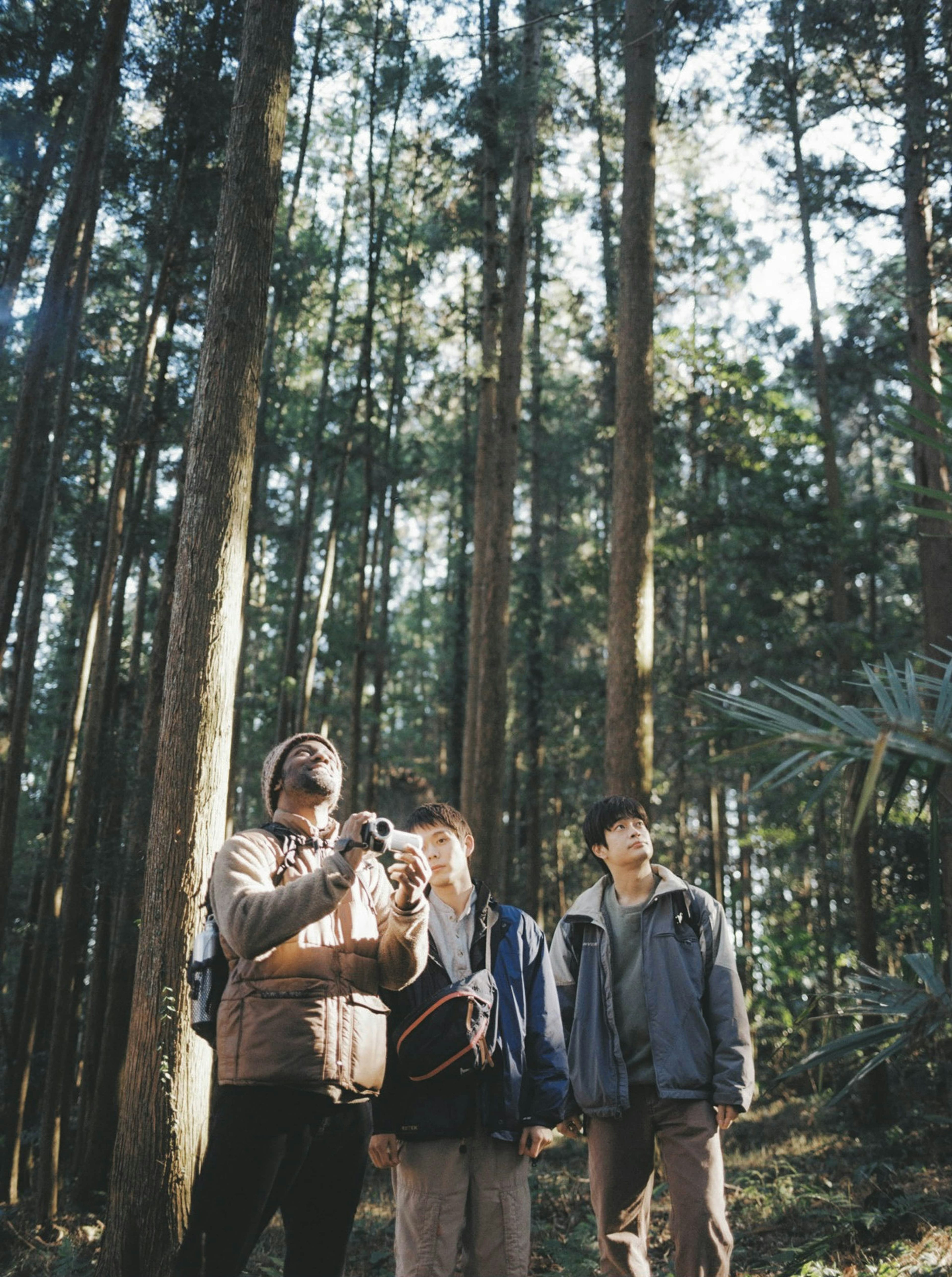 place before daybreak