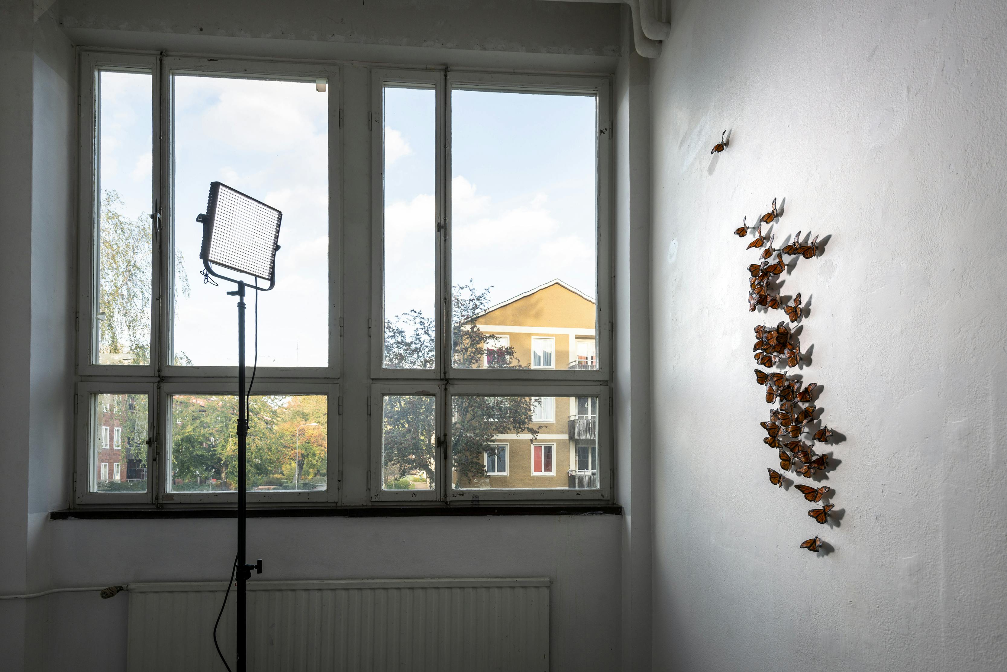 Magali Cunico's exhibition The Visitors (2020). Photo: Erik Hagman