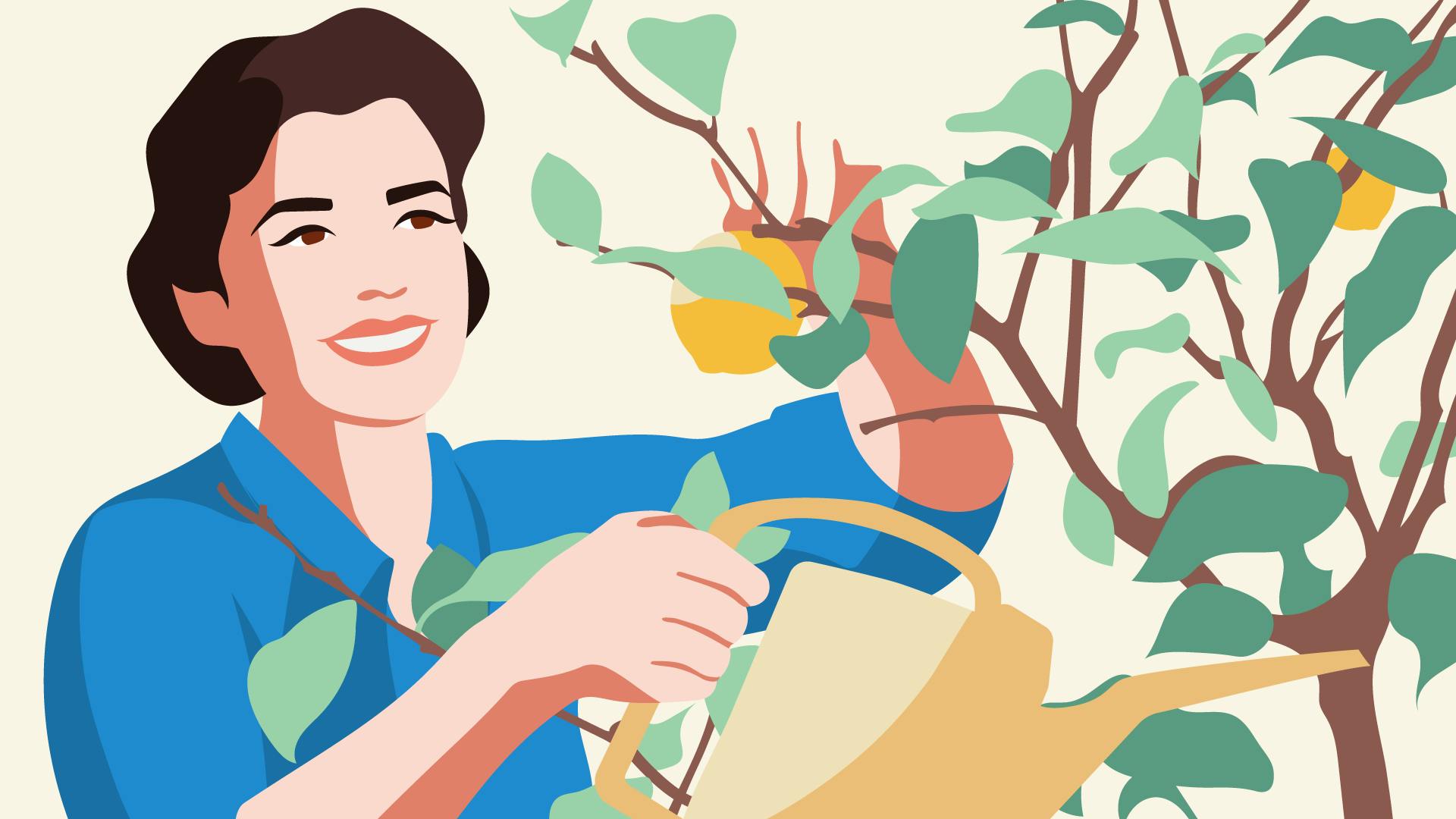 Woman watering a tree