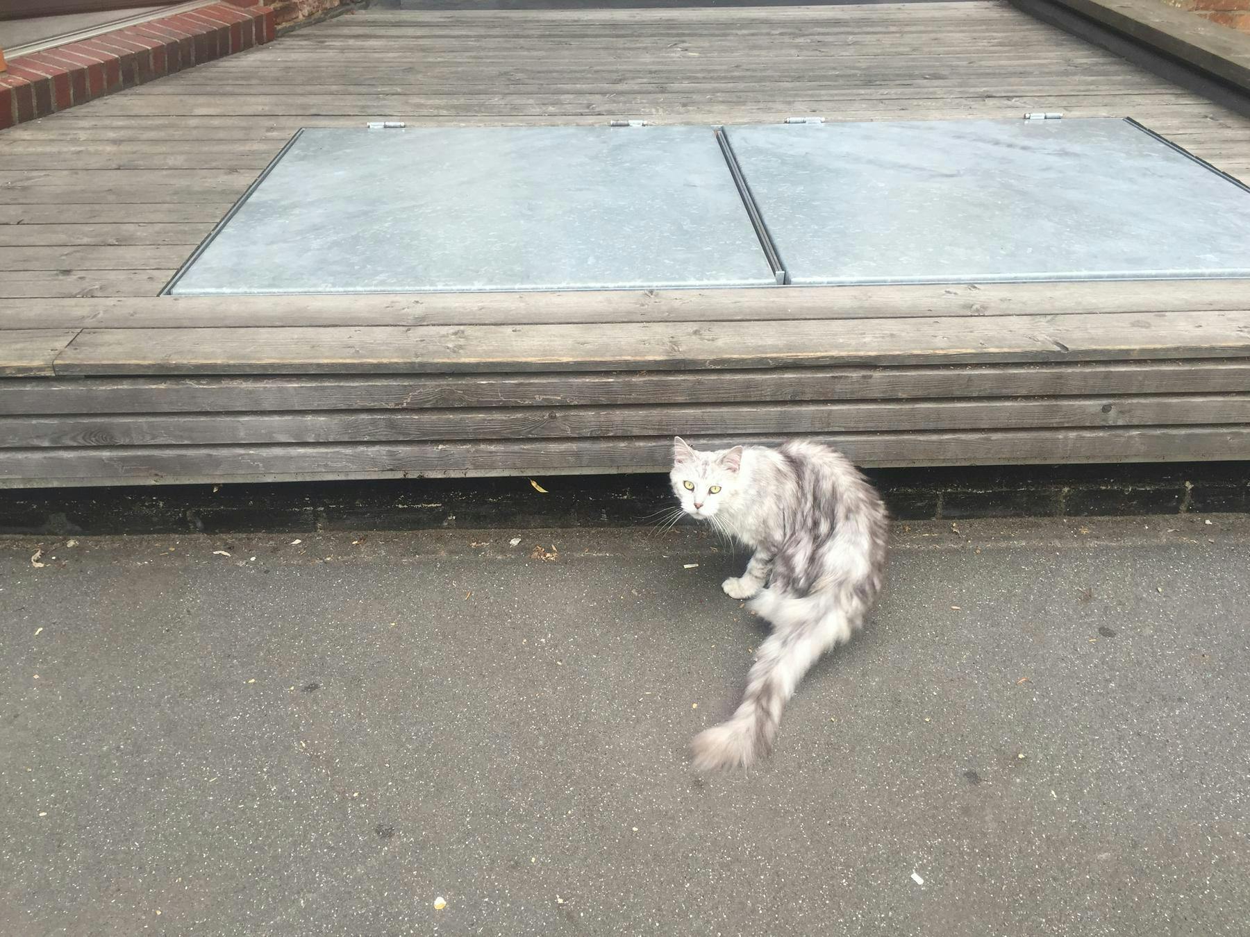 raumstation_kater