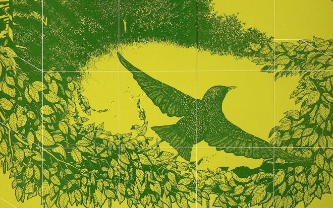 Brian Bennett / Nature Watch
