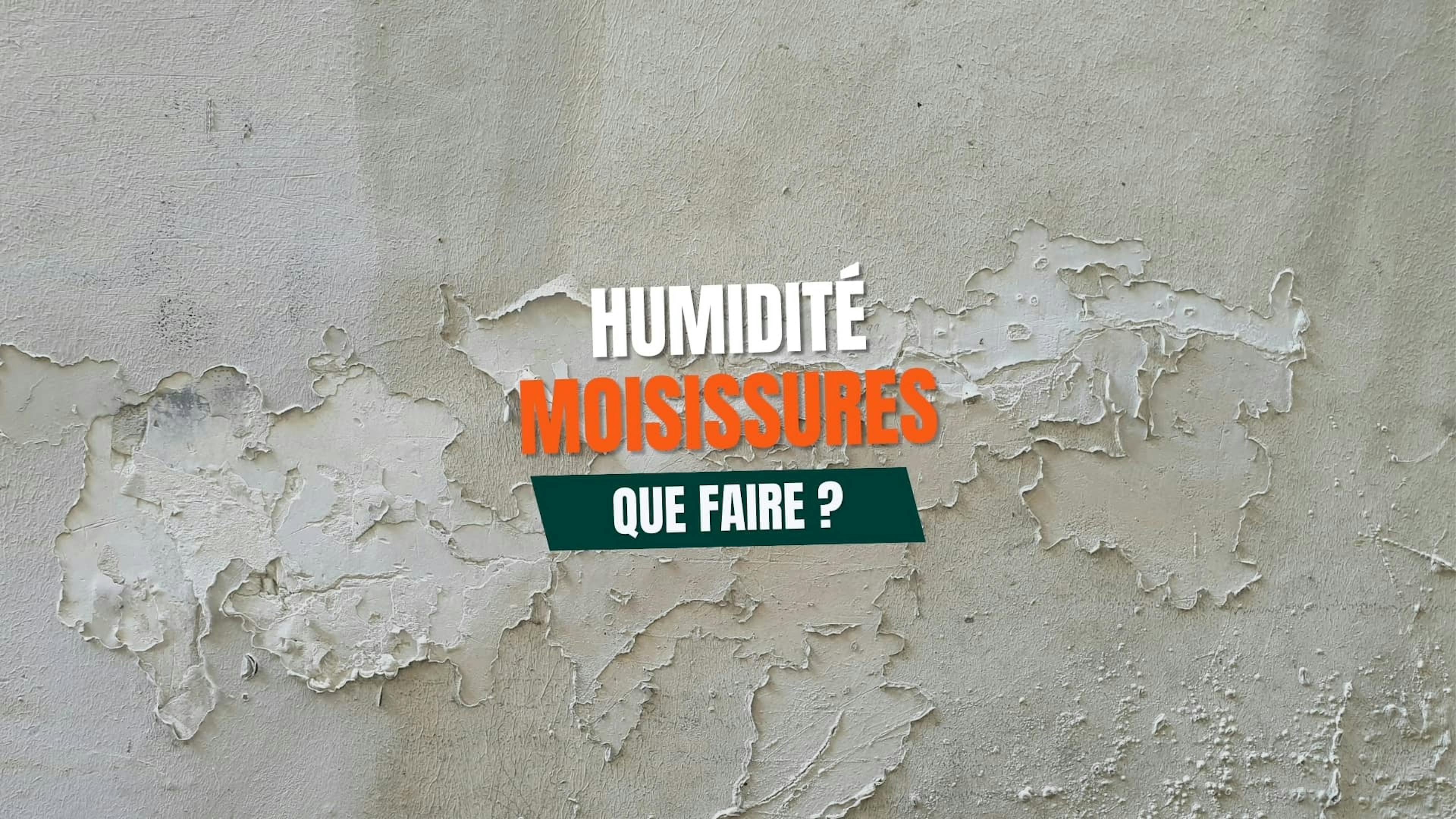 humidité moisissures protéger votre maison