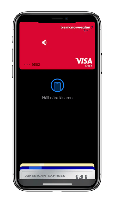 Apple Pay