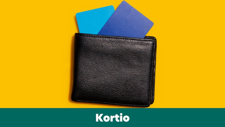 Riksbanken rekommenderar att ha två betalkort