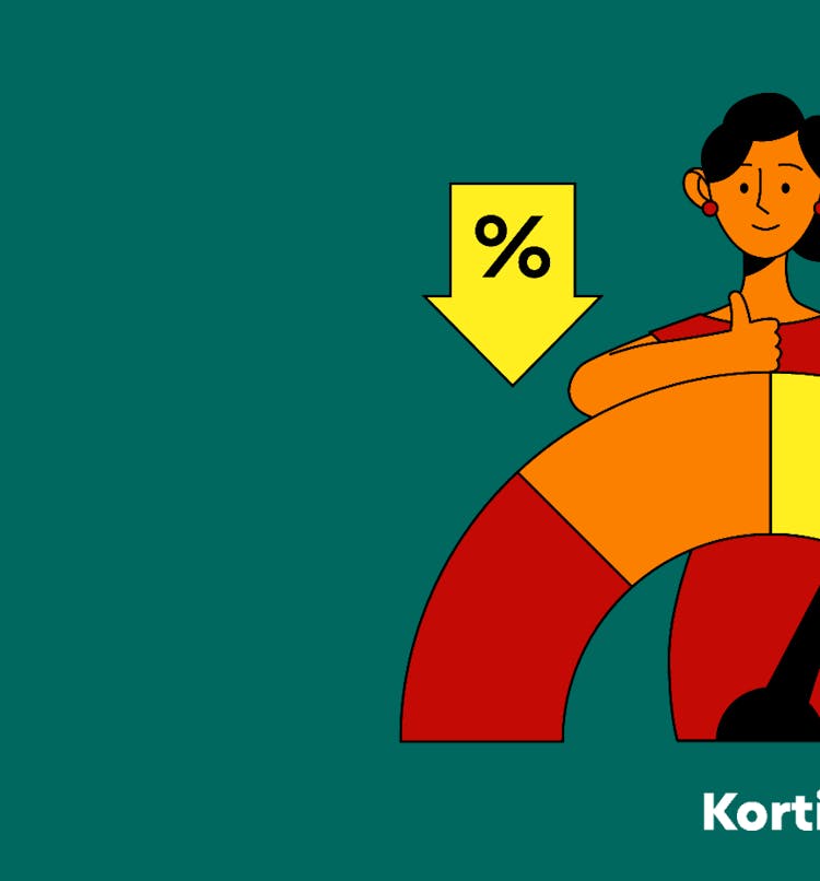 Hvilke selskaper kan utføre en kredittsjekk?