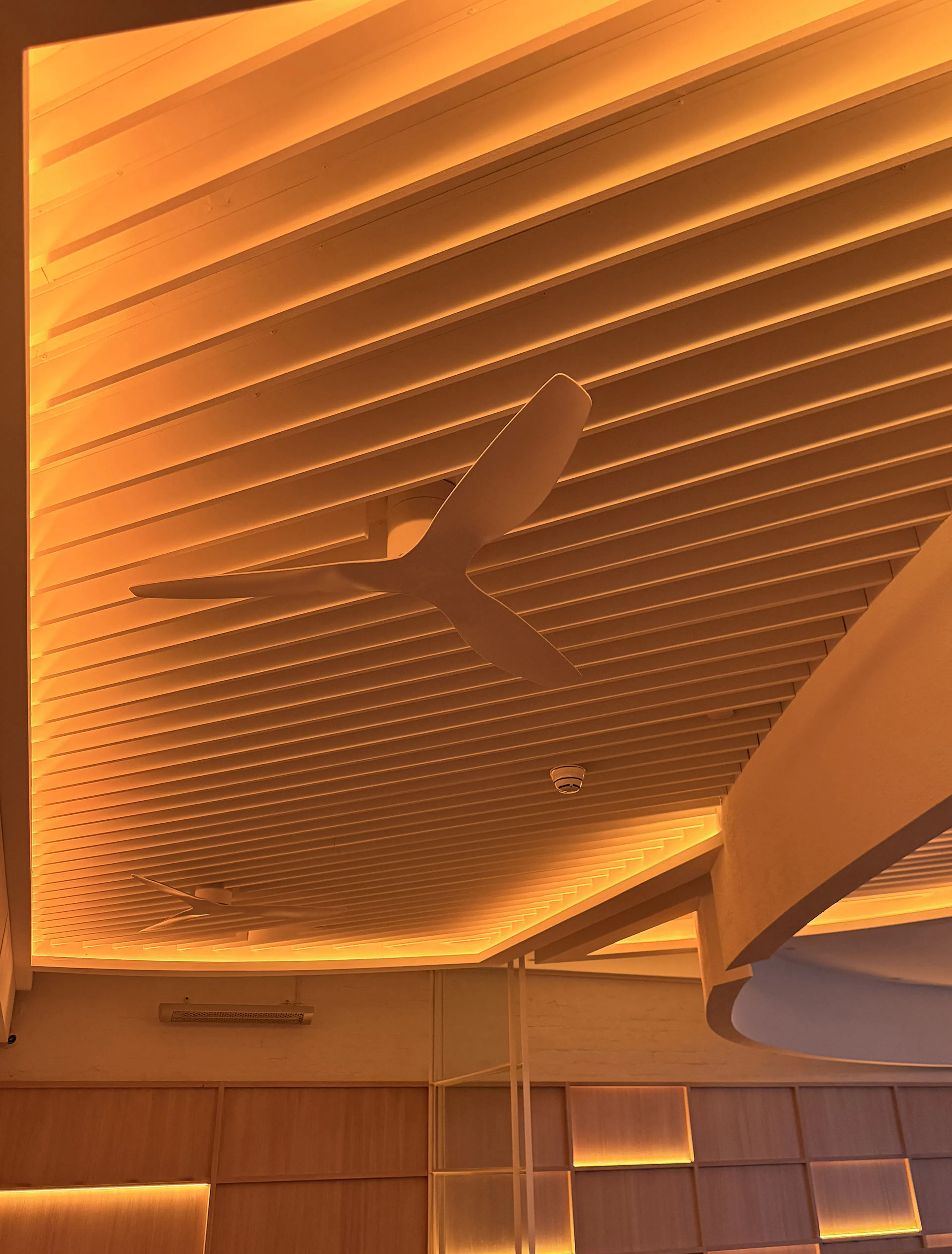 Slatted timber ceiling installation with concealed warm LED channel lighting and integrated ceiling fans