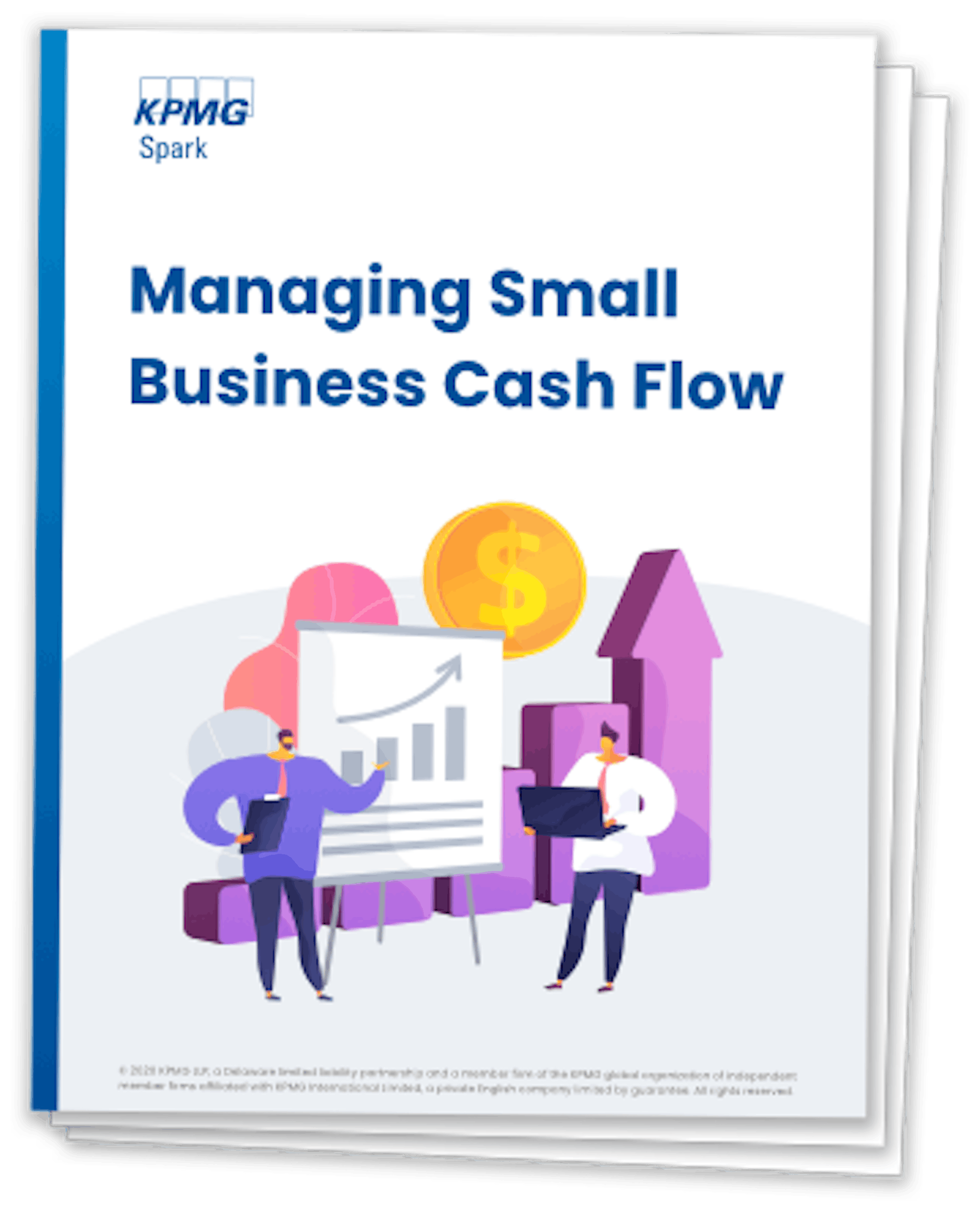 Managing Small Business Cash Flow Book Cover
