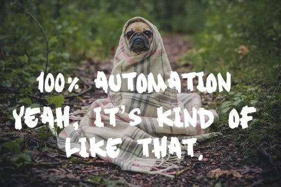 100% automation image for The Beginner's Guide to Bookkeeping