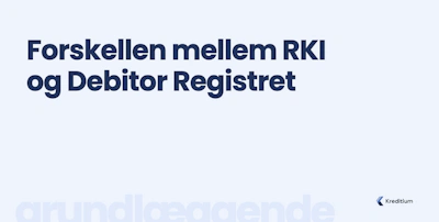 Forskellen mellem RKI og Debitor Registret