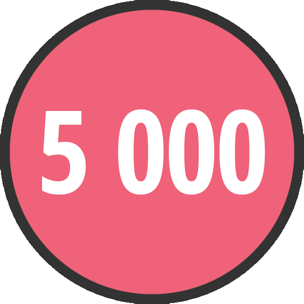 Kredittkort 5 000 kr