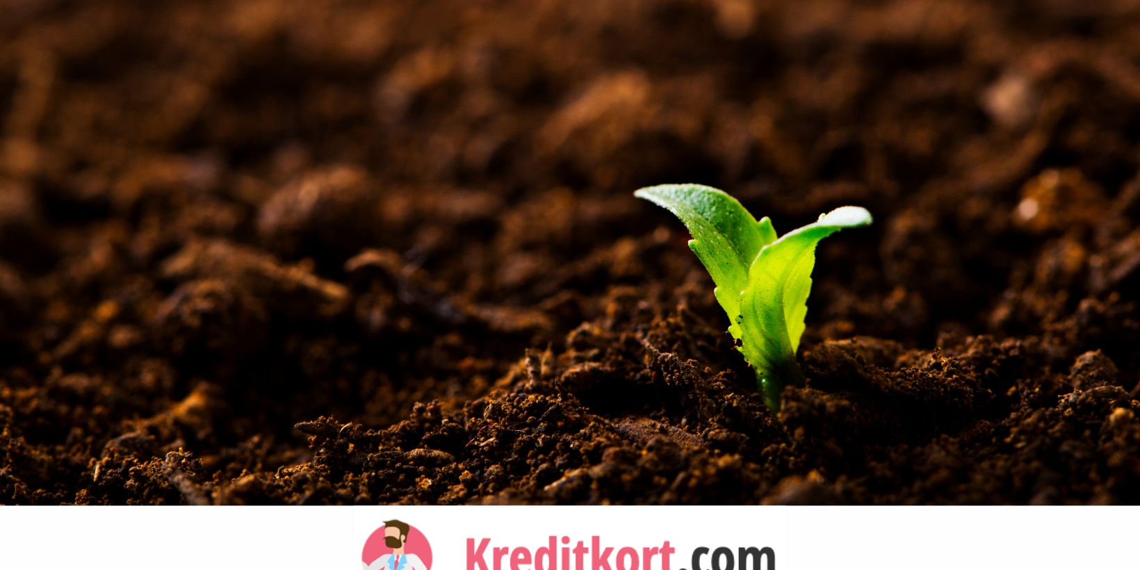 Kreditkort kan spärras när du blir 100 år