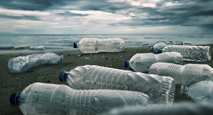 Plastflaskor på en strand vid havet.