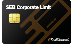 SEB Corporate Limit