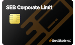 SEB Corporate Limit