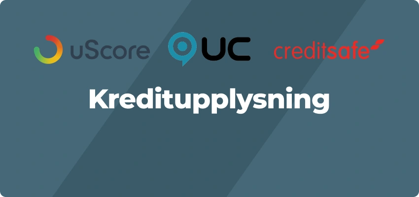 Hur många kreditupplysningar har jag?
