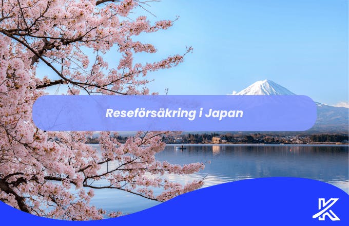Reseförsäkring i Japan