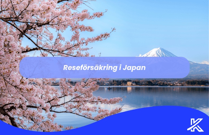 Reseförsäkring i Japan