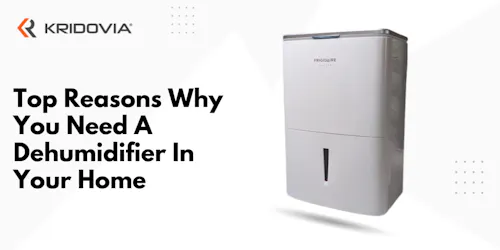 Top 16 Reasons Why You Need A Dehumidifier In Your Home - blog poster