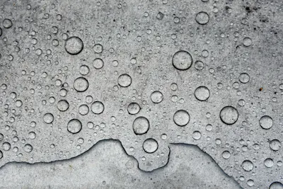 Health Benefits Of Dehumidifier
