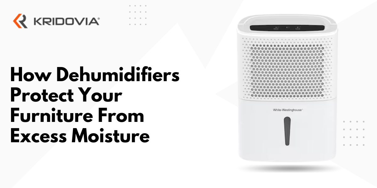 How Dehumidifiers Protect Your Furniture From Excess Moisture