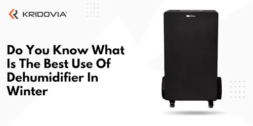 Do You Know What Is The Best Use Of Dehumidifier In Winter - blog poster