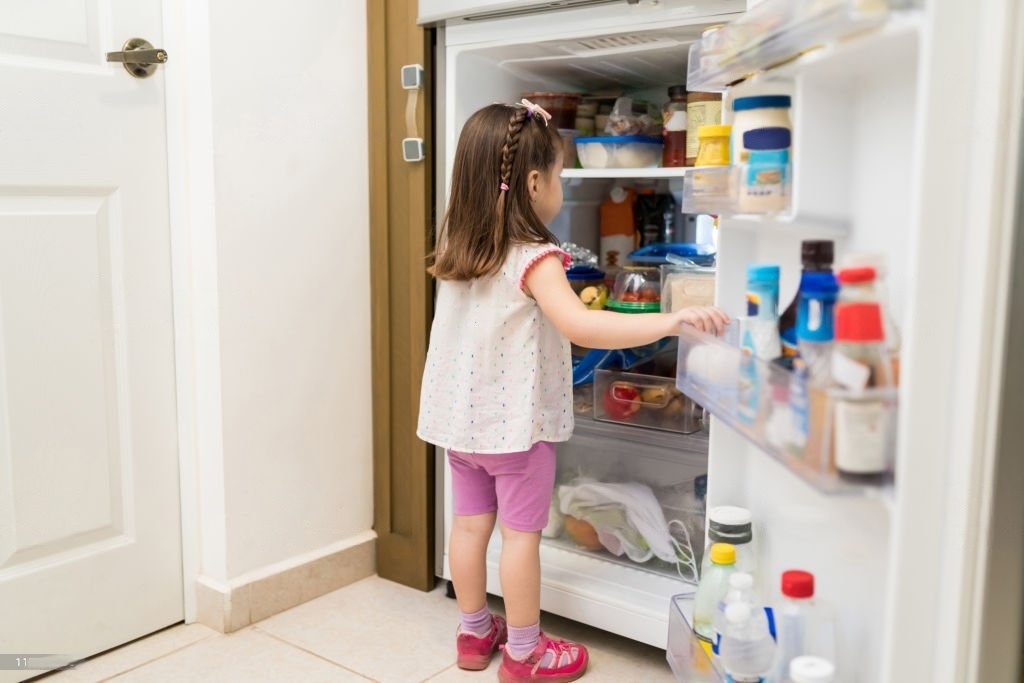 11 Signs You Need A New Fridge By Kridovia