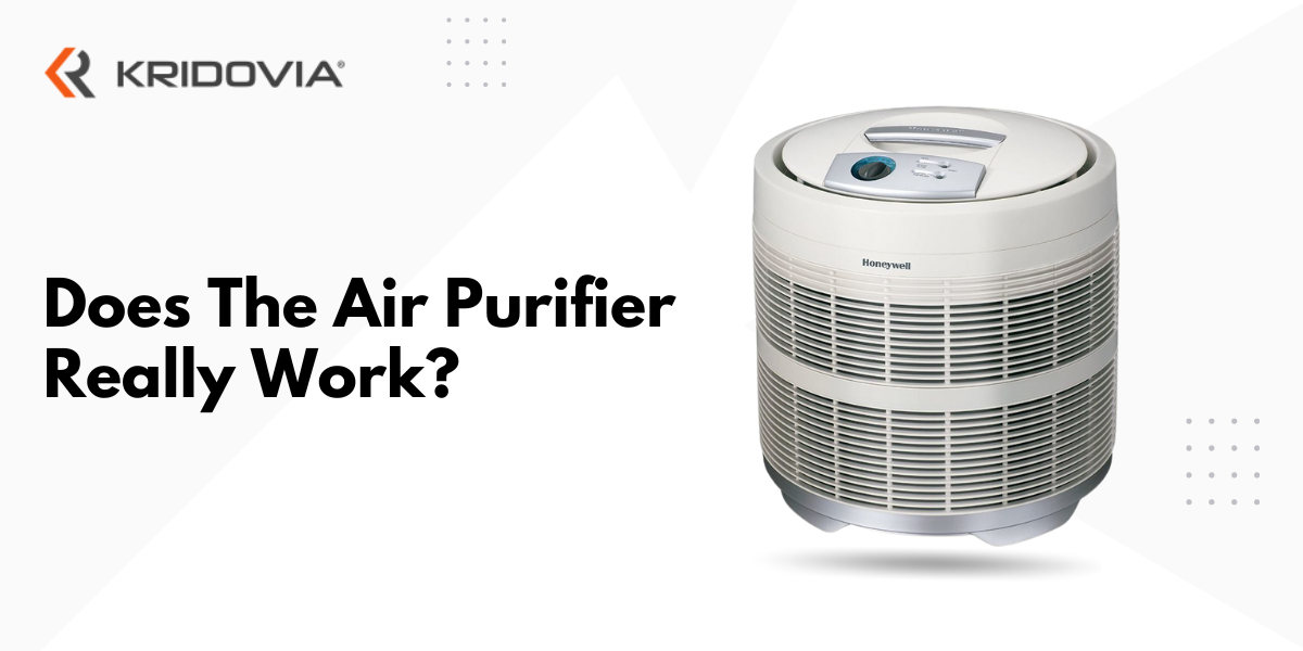 Does The Air Purifier Really Works? [kridovia]
